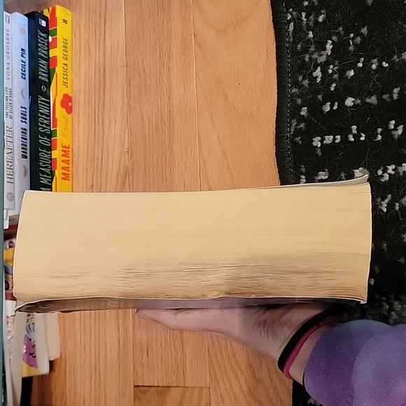 Winters Tale by Mark Helprin - Picture 2 of 4